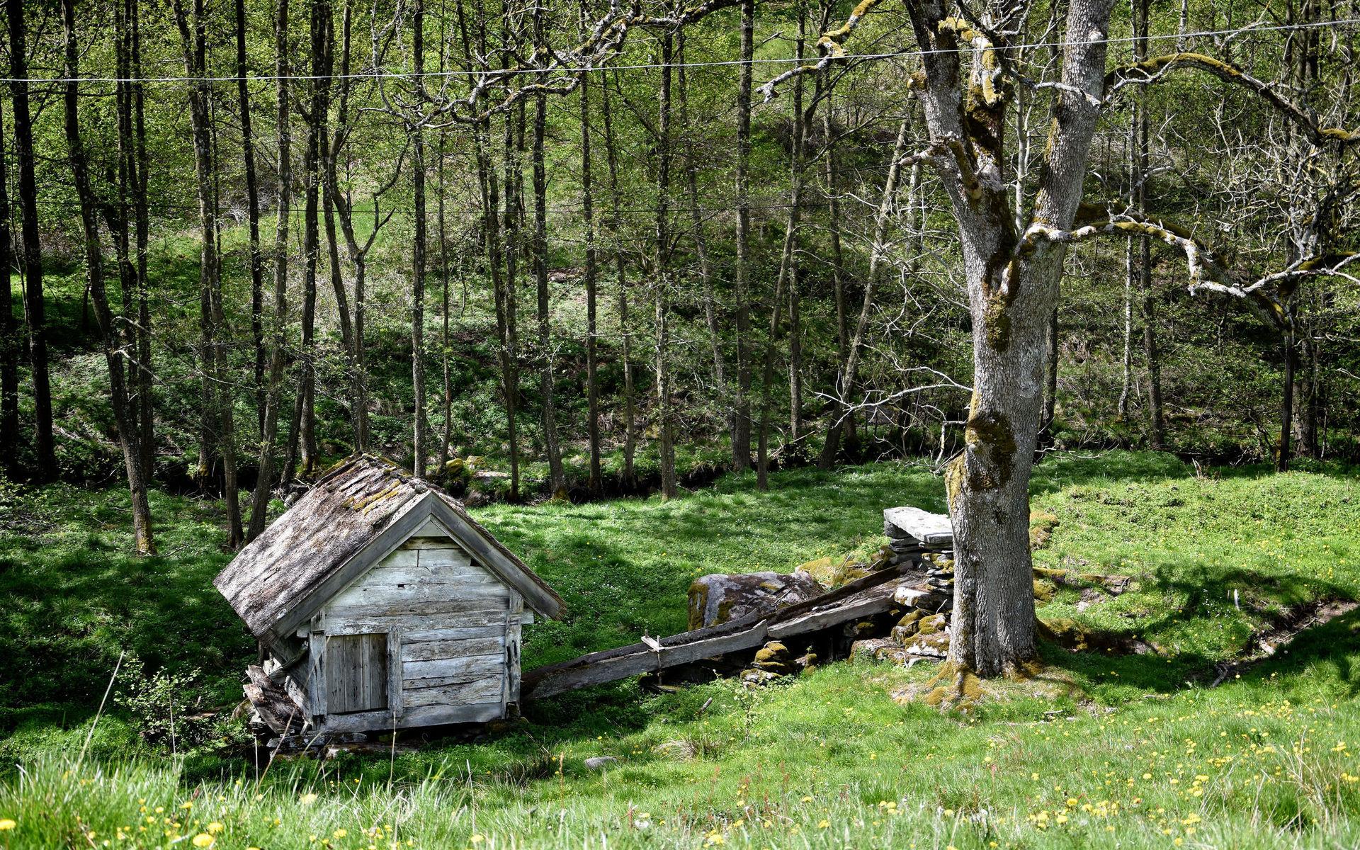 Skvaltkvarnarna i Sällstorp är byggnadsminnen sedan 2018. 