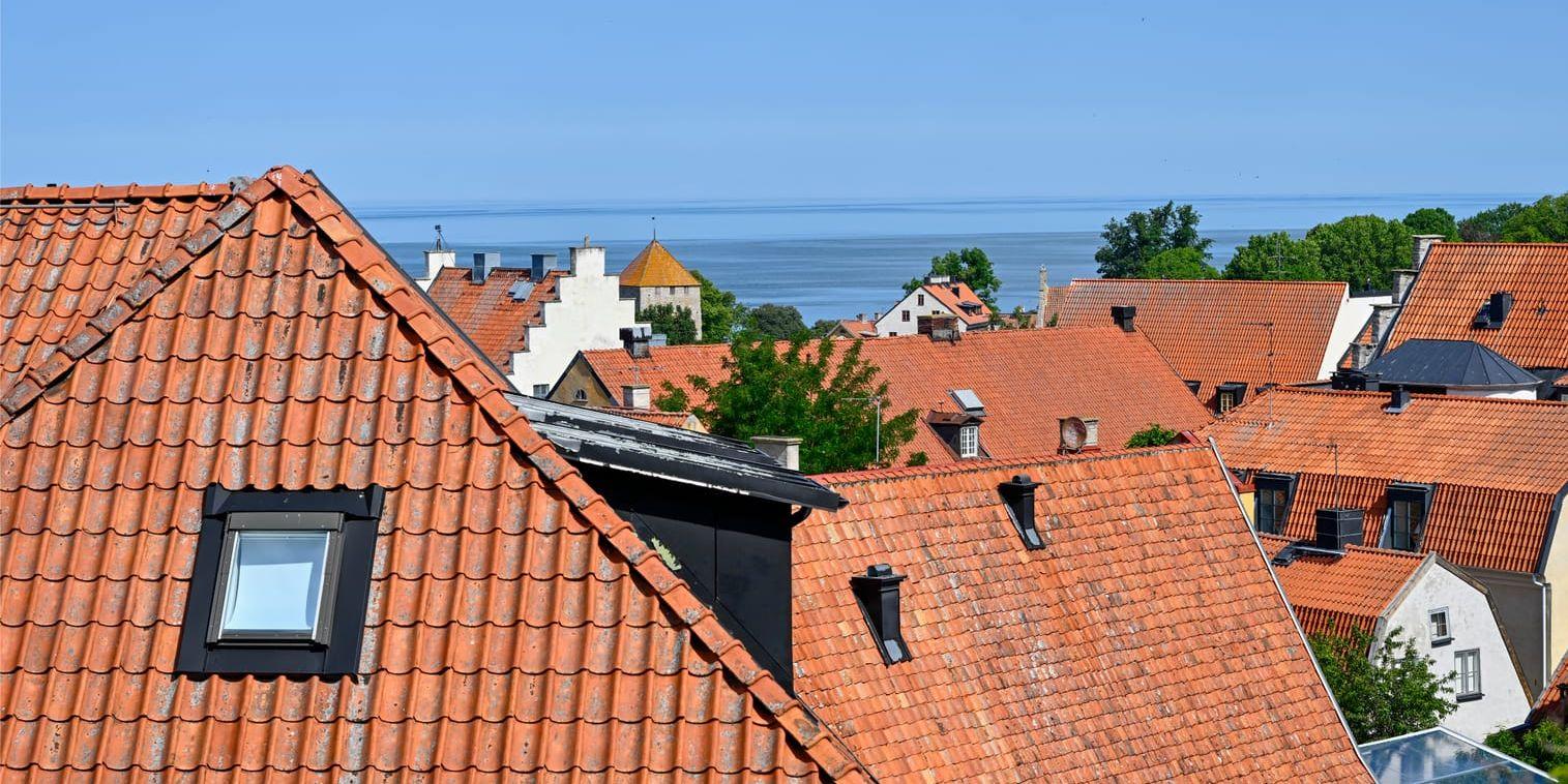 "Teoretiskt sett får hela jordens befolkning plats på Gotland". Ja, men de skulle inte kunna överleva där, skriver insändarskribenten.