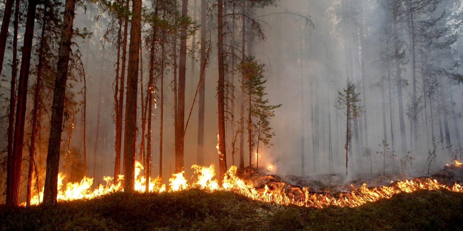 Beredskapen inför sommaren är mycket högre än den var när förra årets skogsbränder härjade i Sverige. Arkivbild från branden i Ljusdal.