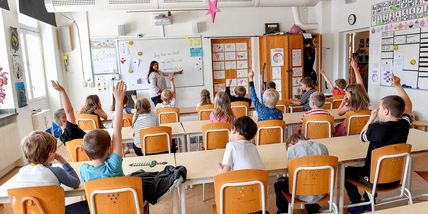 Miljöpartiet vill att man ska kunna studera till lärare och samtidigt jobba deltid i skolan, men få full lön. Arkivbild.