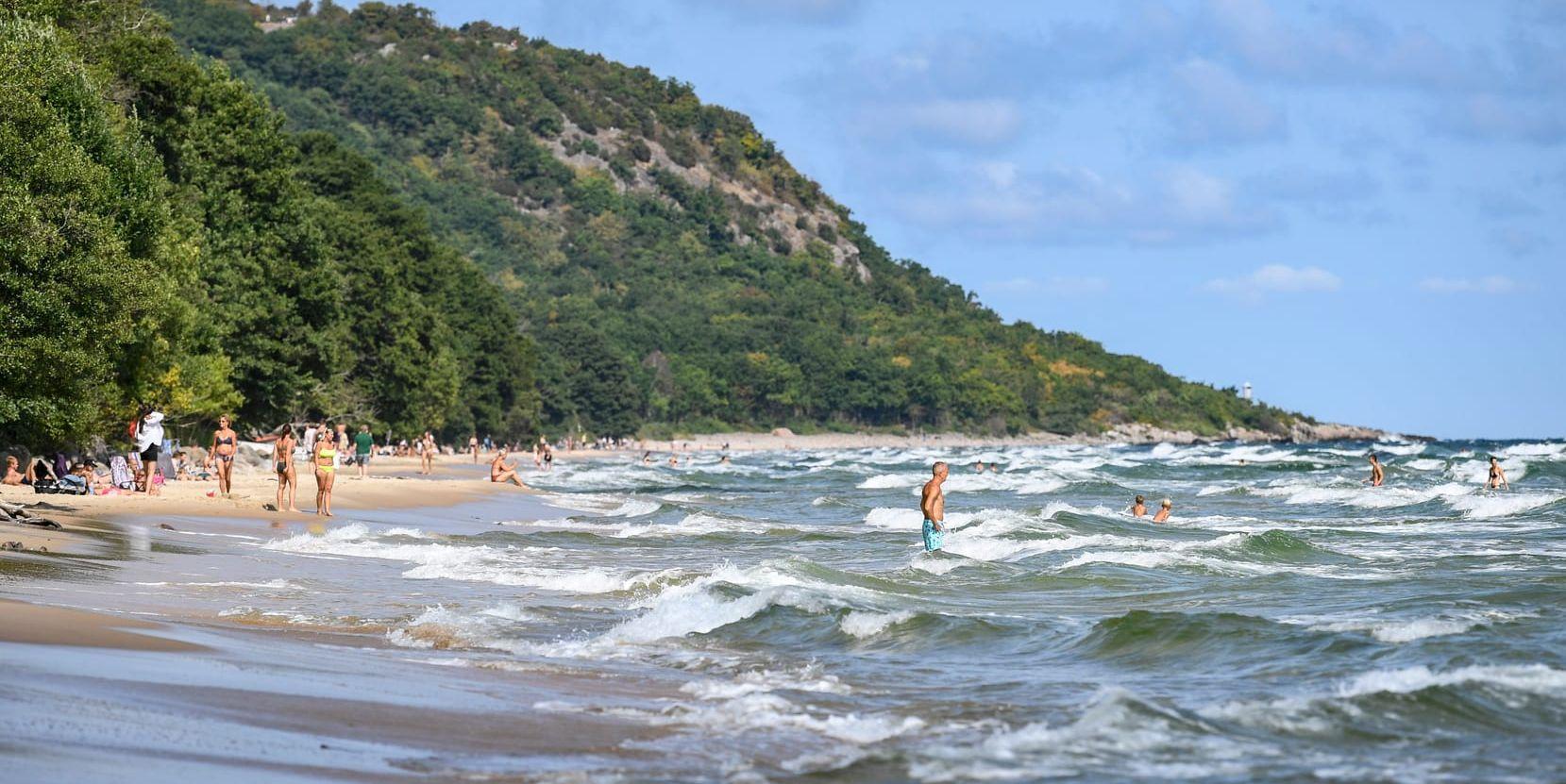 Stranden Knäbäckshusen på Österlen har drabbats av krimatförändringar, skriver debattören.