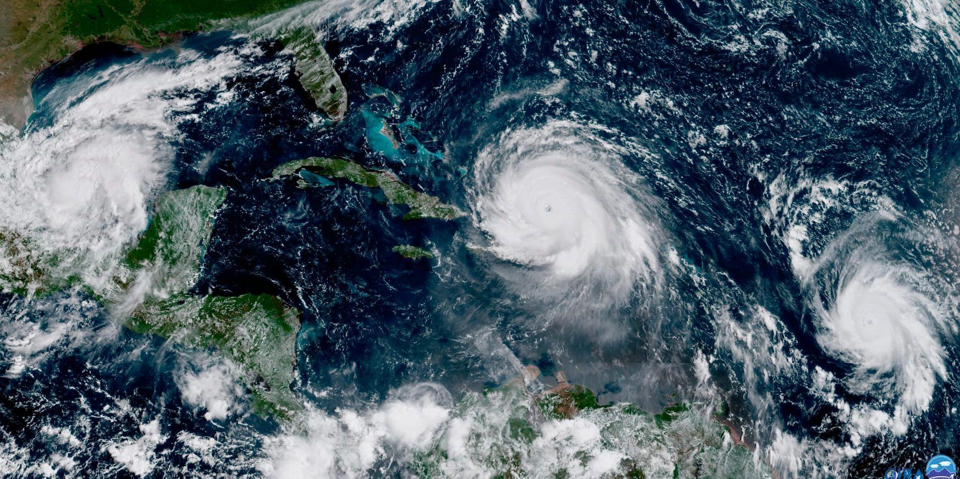 Satellitbild över orkanen Irma. (NOAA via AP)