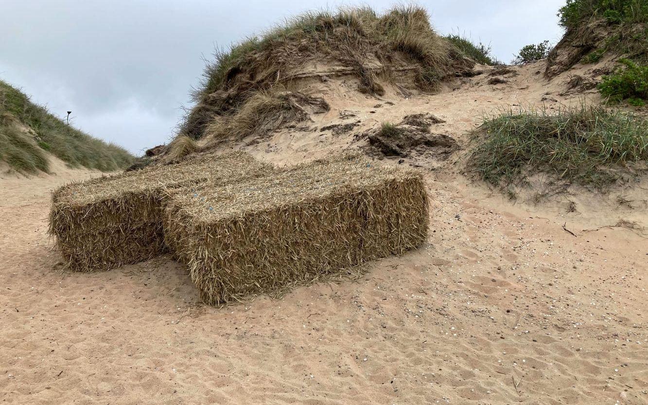 Falkenbergs kommun använder balarna som sandfång, vilket resulterar i minskad sandflykt in på Klittervägen.