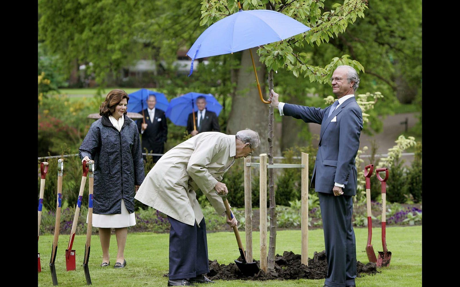 Juni 2005: Kungen delar med sig av sitt paraply en regnig sommardag utanför Sofiero slott i Helsingborg.