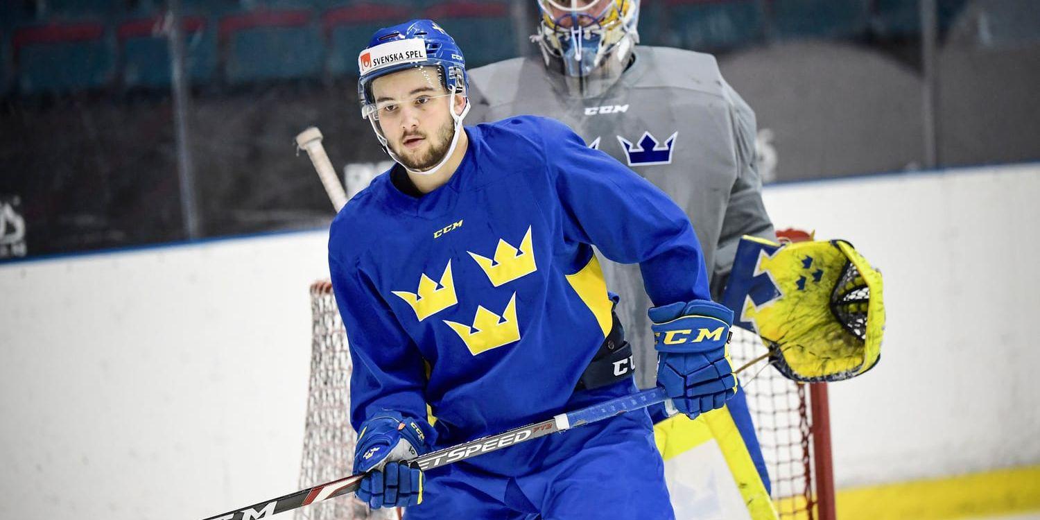 Emil Bemström och målvakten Magnus Hellberg är två av de spelare i Tre Kronors trupp i hemmaturneringen i Stockholm som skulle kunna ta sig ända till VM.