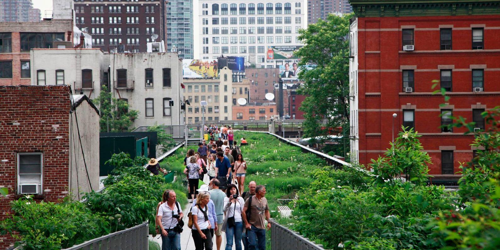 High Line i New York.